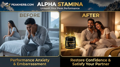 👑 Alpha Stamina (Night King)